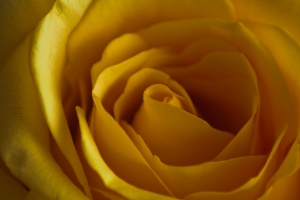 de essentie is klein, maar heeft een grote betekenis