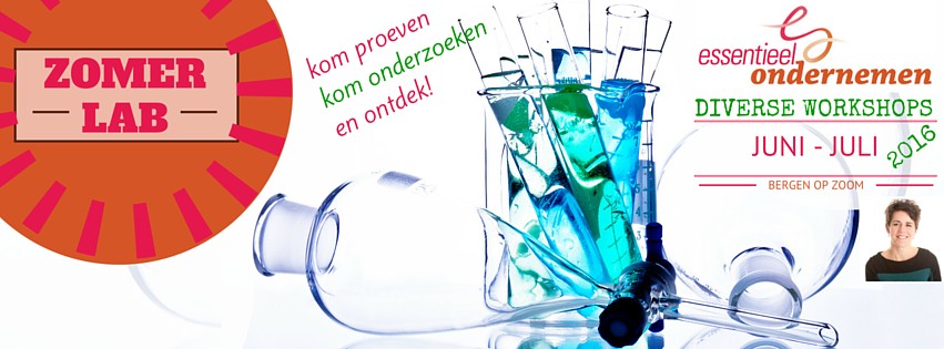 ZomerLab Essentieel Ondernemen