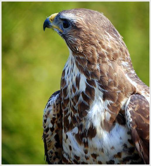 Diep leiderschap voor mannen